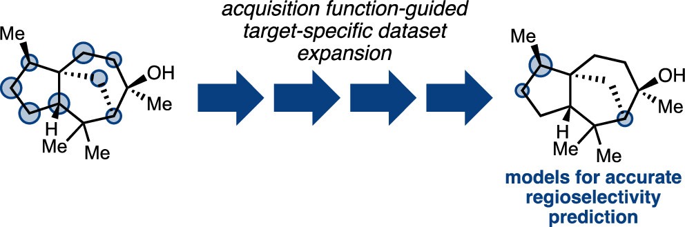Figure: Target-specific Data Sets for Regioselectivity Predictions